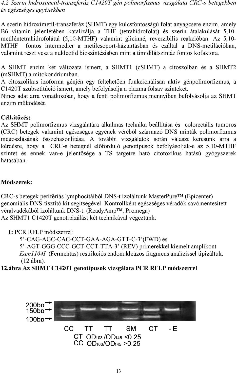 Az 5,10- MTHF fontos intermedier a metilcsoport-háztartásban és ezáltal a DNS-metilációban, valamint részt vesz a nukleotid bioszintézisben mint a timidilátszintáz fontos kofaktora.