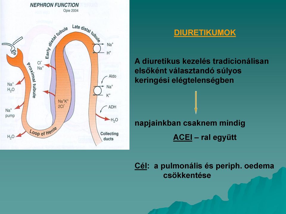 keringési elégtelenségben napjainkban csaknem