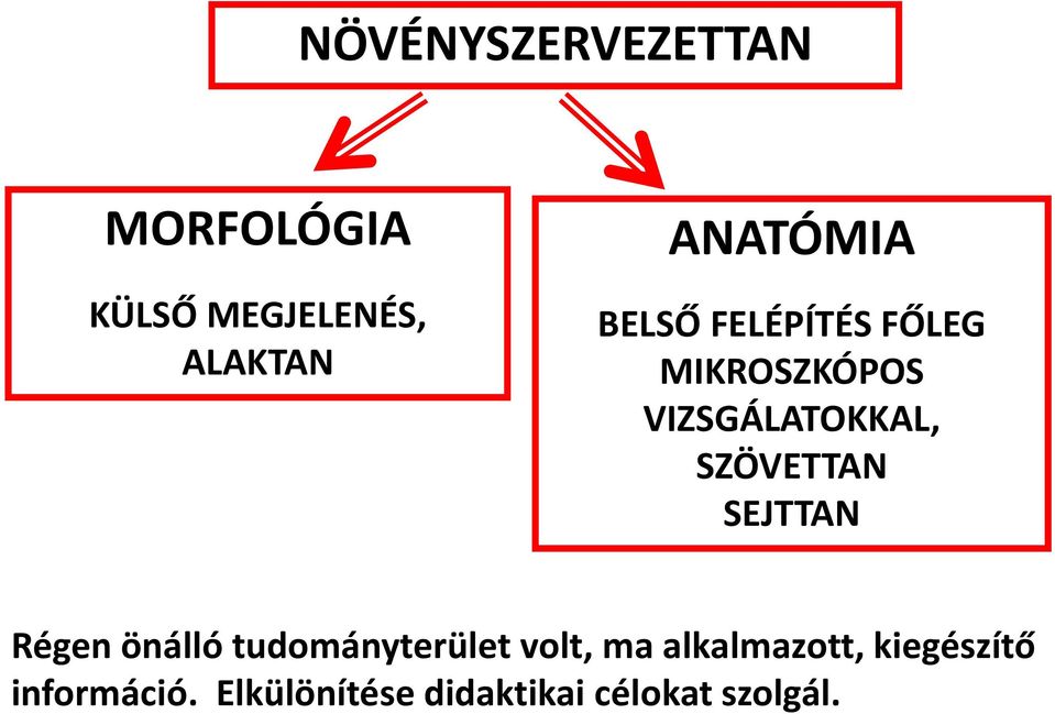 SZÖVETTAN SEJTTAN Régen önálló tudományterület volt, ma