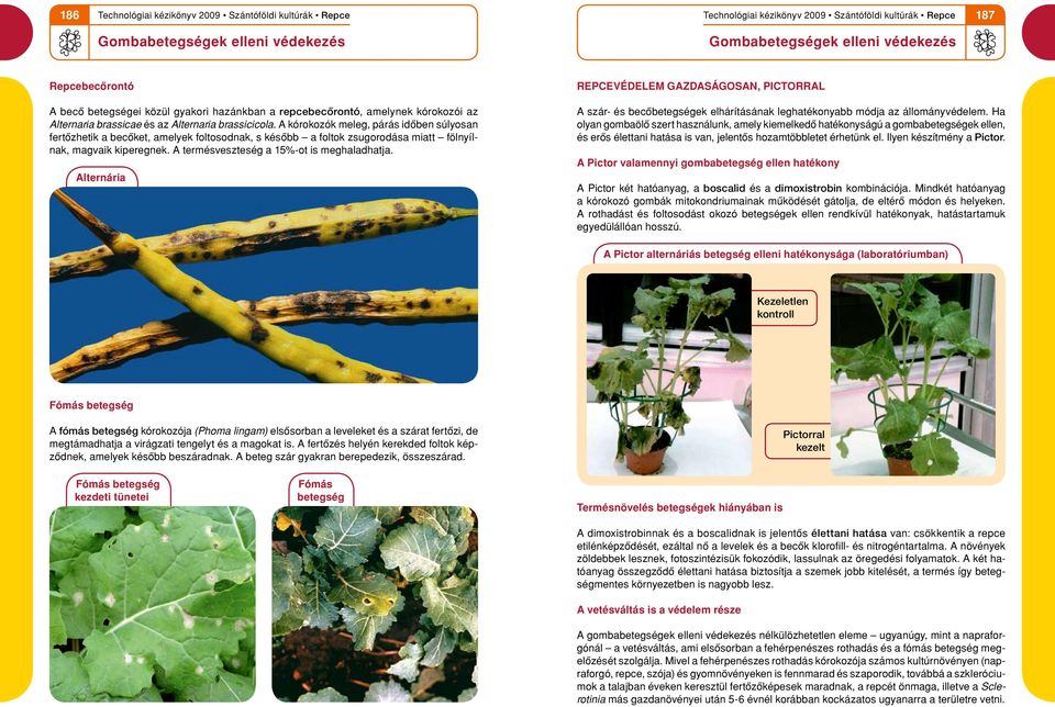 A termésveszteség a 15%-ot is meghaladhatja. Alternária repcevédelem gazdaságosan, Pictorral A szár- és becôbetegségek elhárításának leghatékonyabb módja az állományvédelem.
