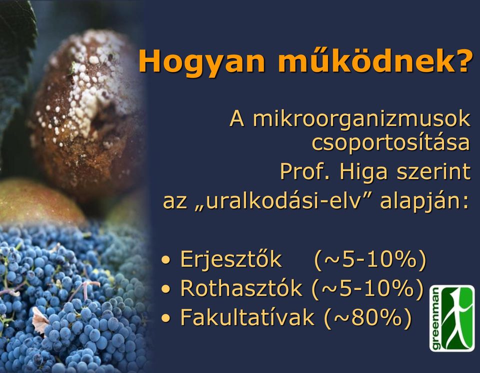 Prof. Higa szerint az uralkodási-elv