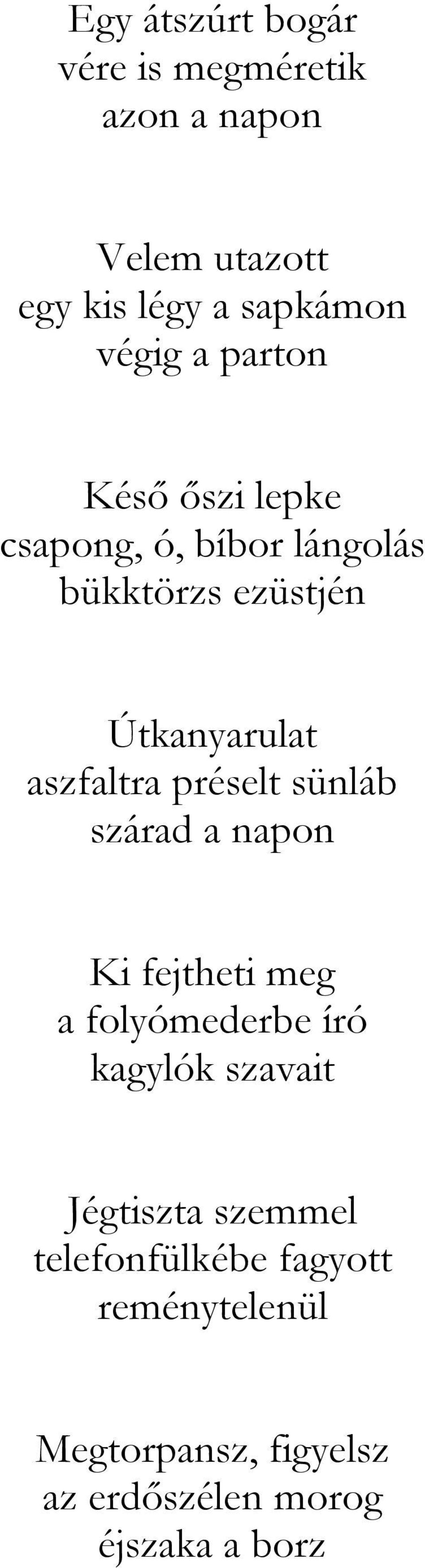 préselt sünláb szárad a napon Ki fejtheti meg a folyómederbe író kagylók szavait Jégtiszta