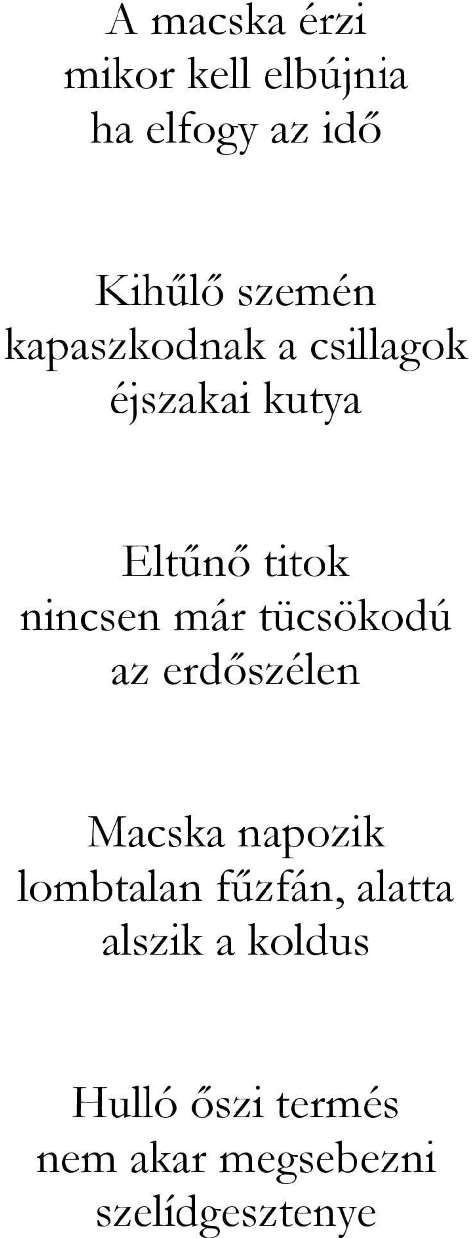 tücsökodú az erdőszélen Macska napozik lombtalan fűzfán, alatta