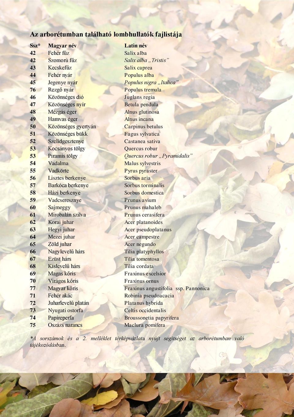 gyertyán Carpinus betulus 51 Közönséges bükk Fagus sylvatica 52 Szelídgesztenye Castanea sativa 53 Kocsányos tölgy Quercus robur 53 Piramis tölgy Quercus robur Pyramidalis 54 Vadalma Malus sylvestris