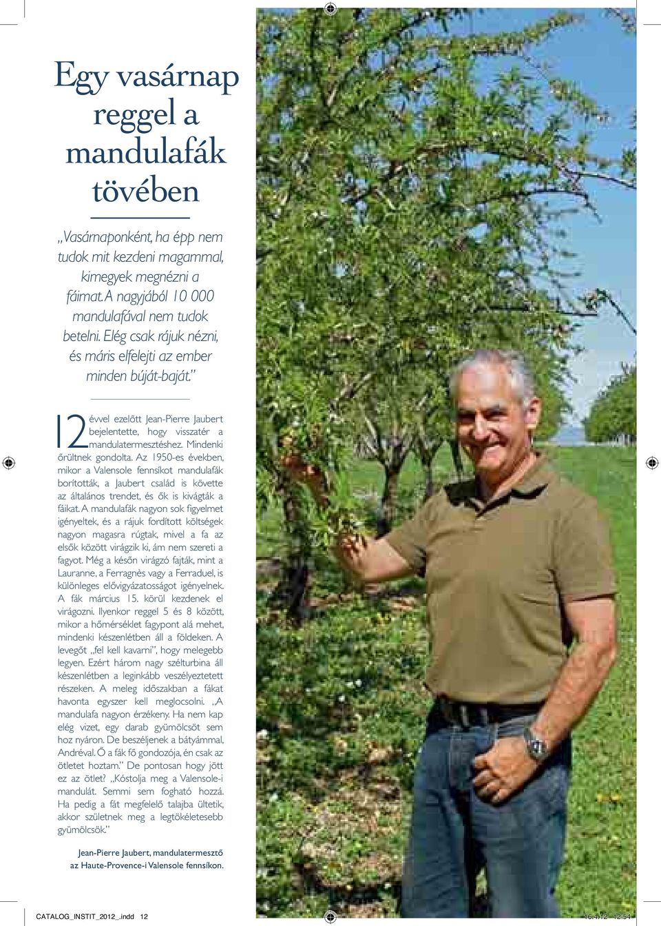 Az 1950-es években, mikor a Valensole fennsíkot mandulafák borították, a Jaubert család is követte az általános trendet, és ők is kivágták a fáikat.