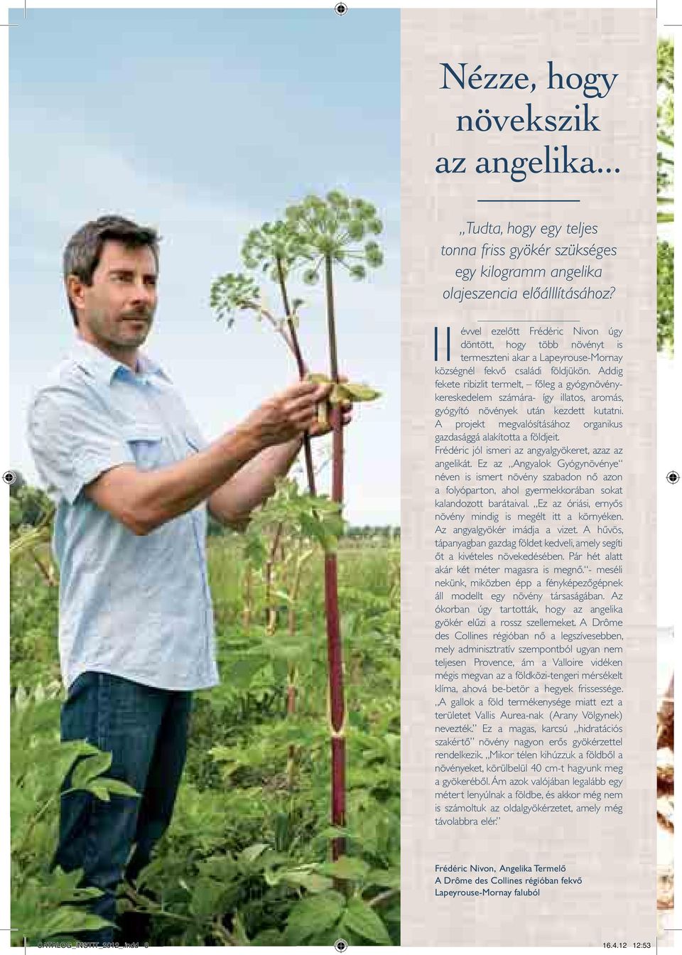Addig fekete ribizlit termelt, főleg a gyógynövénykereskedelem számára- így illatos, aromás, gyógyító növények után kezdett kutatni.