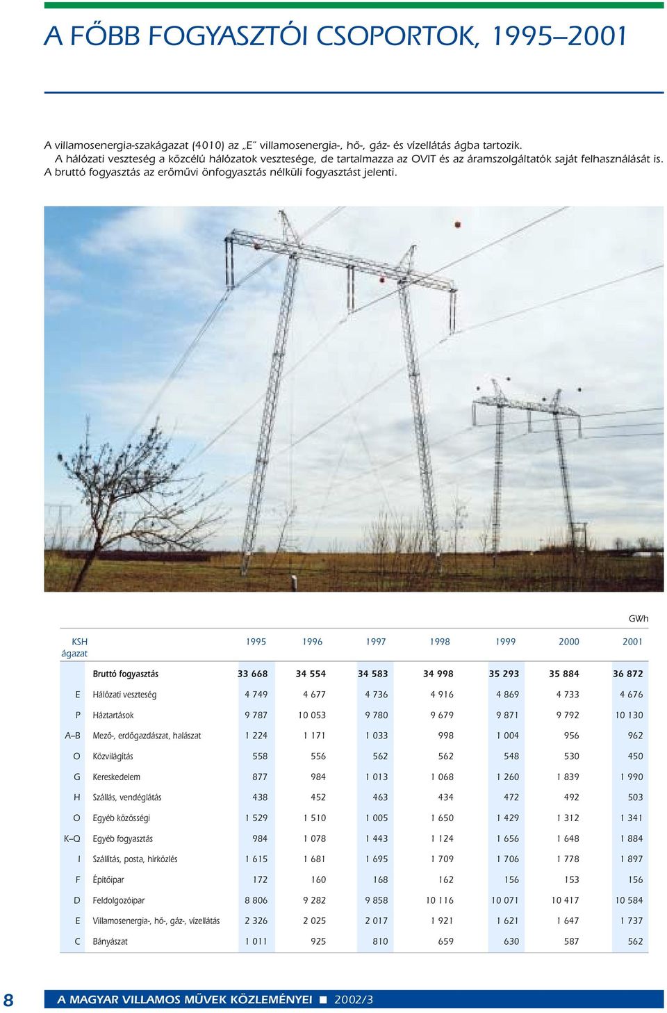 KSH 995 996 997 998 999 2000 200 ágazat Bruttó fogyasztás 33 668 34 554 34 583 34 998 35 293 35 884 36 872 E Hálózati veszteség 4 749 4 677 4 736 4 96 4 869 4 733 4 676 P Háztartások 9 787 0 053 9