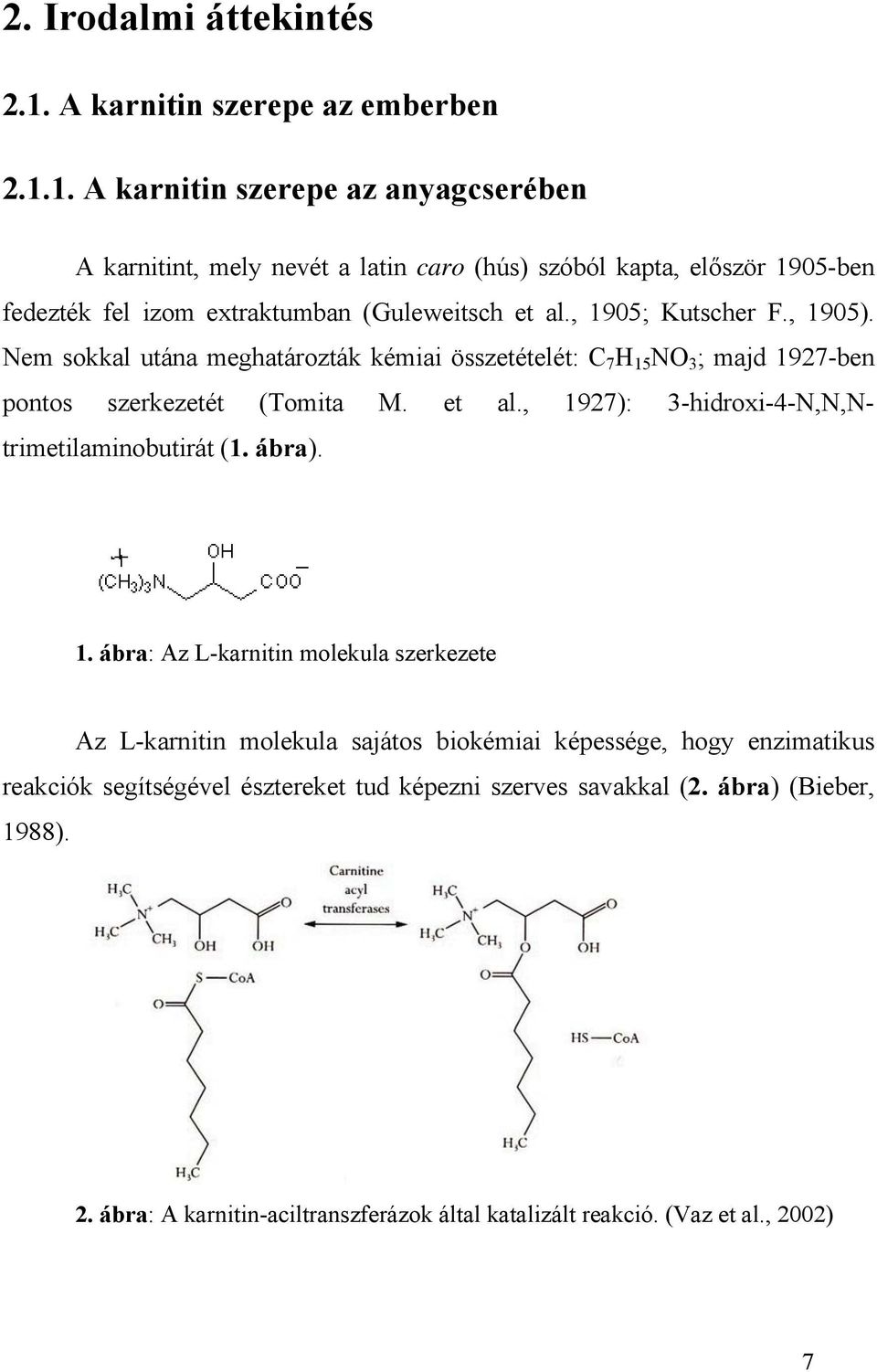 1. A karnitin szerepe az anyagcserében A karnitint, mely nevét a latin caro (hús) szóból kapta, először 1905-ben fedezték fel izom extraktumban (Guleweitsch et al.