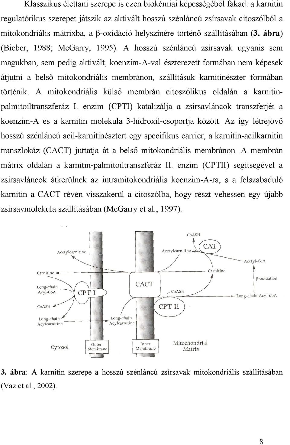 A hosszú szénláncú zsírsavak ugyanis sem magukban, sem pedig aktivált, koenzim-a-val észterezett formában nem képesek átjutni a belső mitokondriális membránon, szállításuk karnitinészter formában