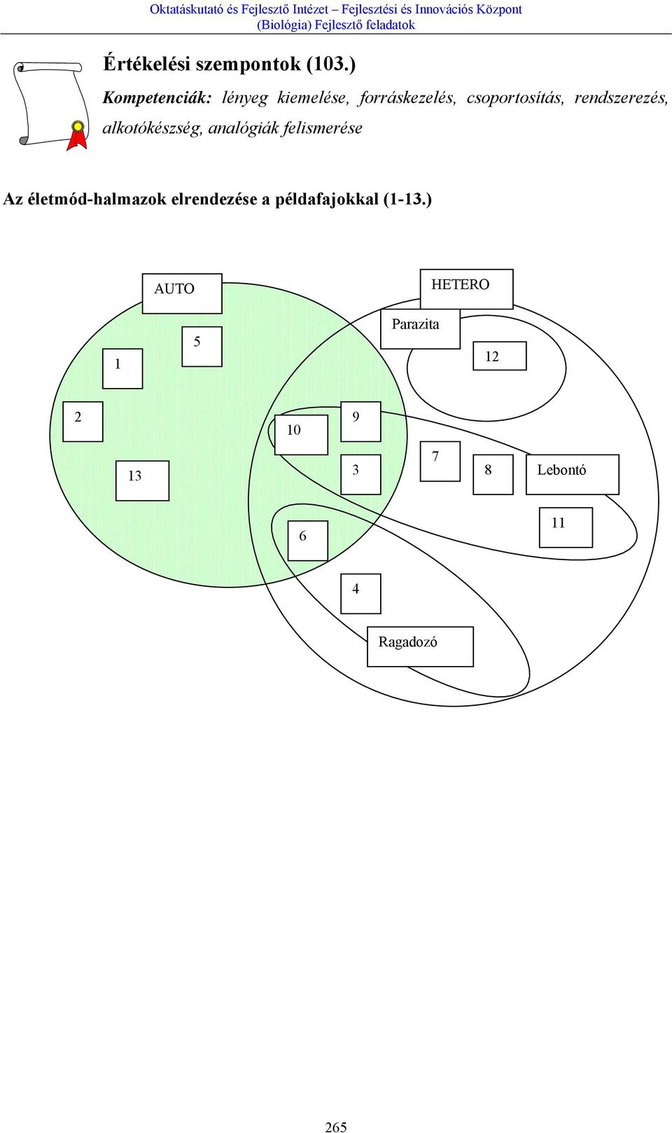 rendszerezés, alkotókészség, analógiák felismerése Az