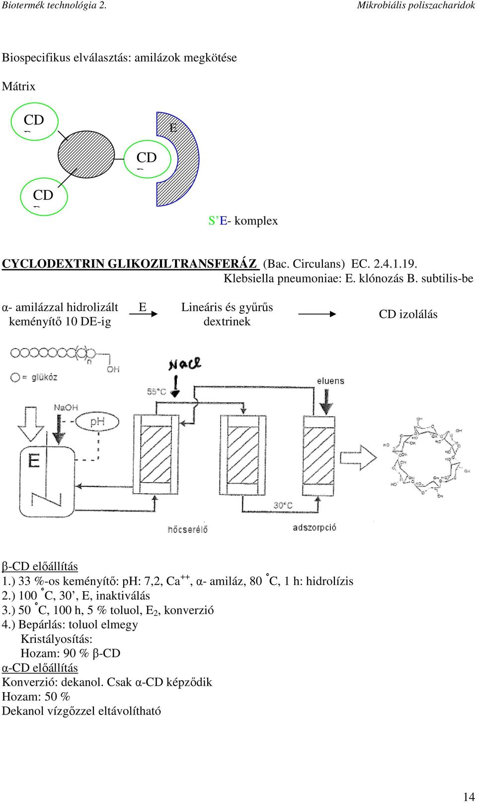 subtilis-be α- amilázzal hidrolizált keményítı 10 DE-ig E Lineáris és győrős dextrinek CD izolálás β-cd elıállítás 1.