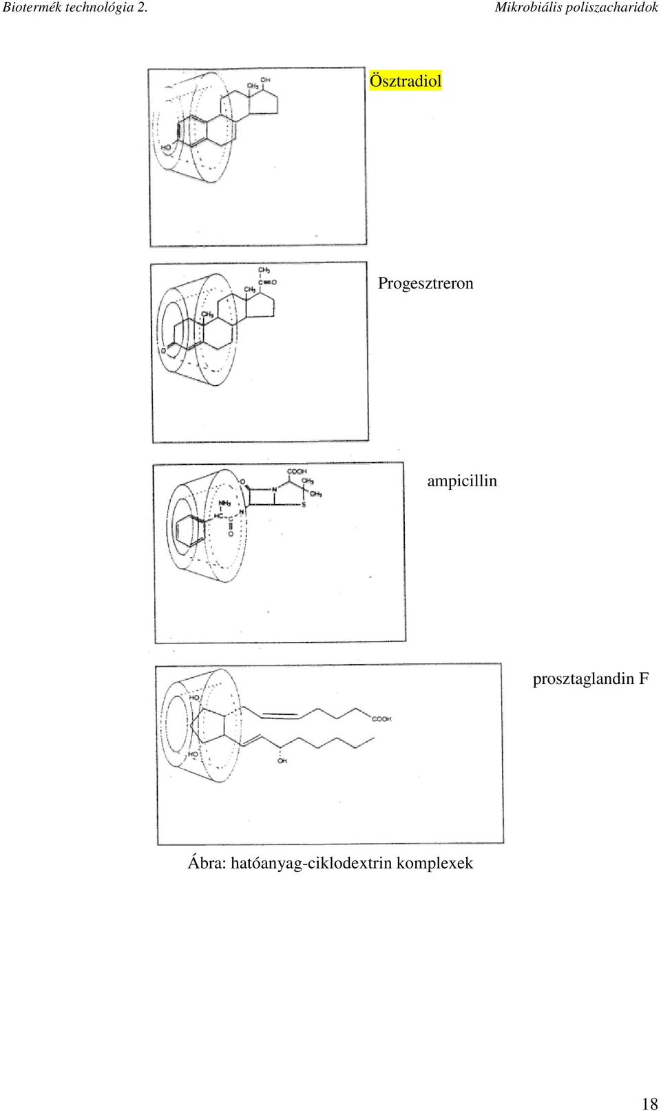 ampicillin