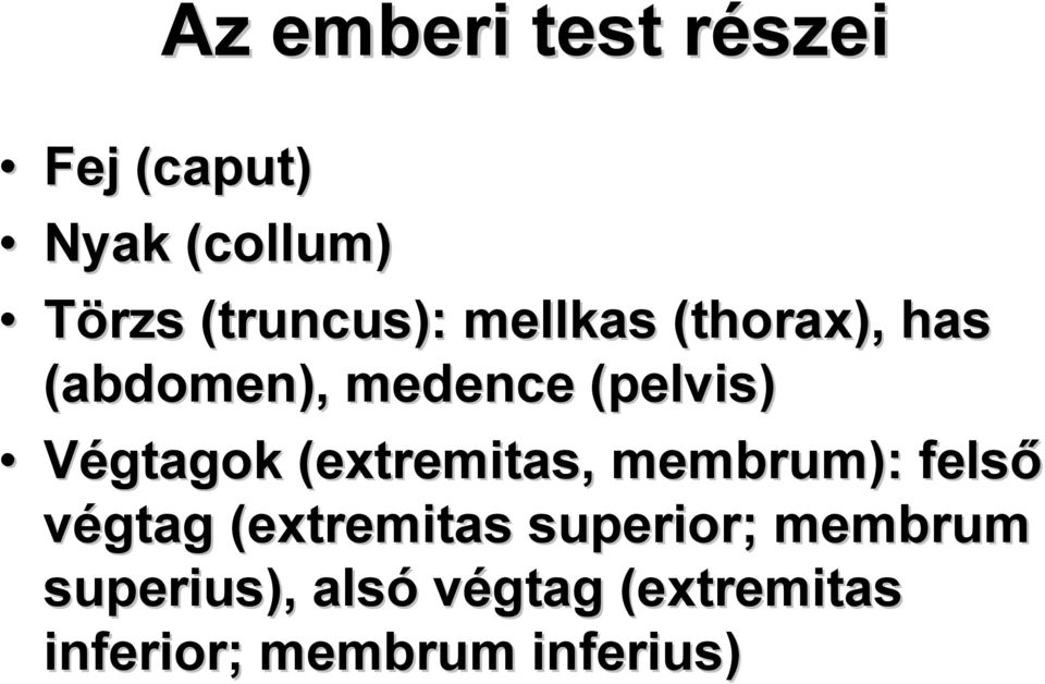 Végtagok (extremitas, membrum): felső végtag (extremitas