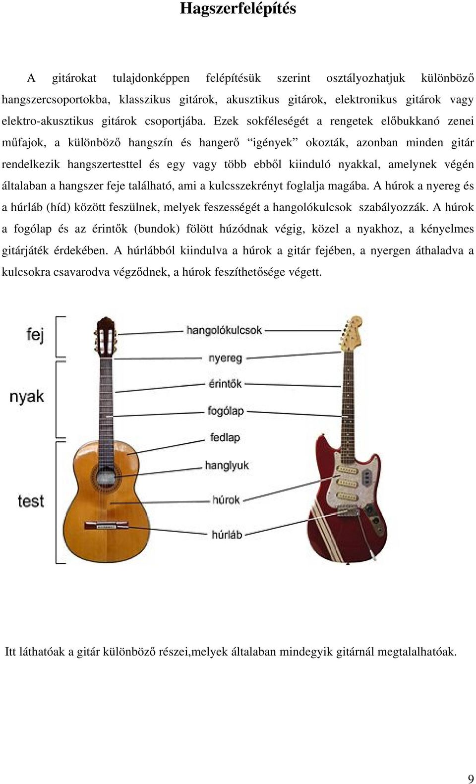 Ezek sokféleségét a rengetek előbukkanó zenei műfajok, a különböző hangszín és hangerő igények okozták, azonban minden gitár rendelkezik hangszertesttel és egy vagy több ebből kiinduló nyakkal,