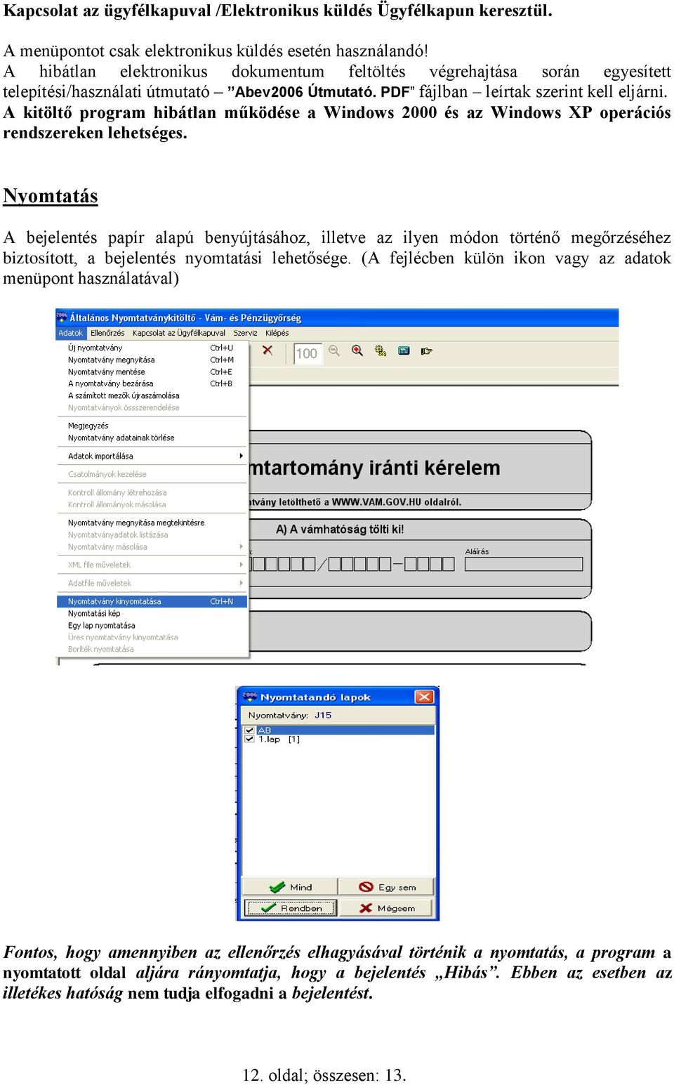 A kitöltő program hibátlan működése a Windows 2000 és az Windows XP operációs rendszereken lehetséges.