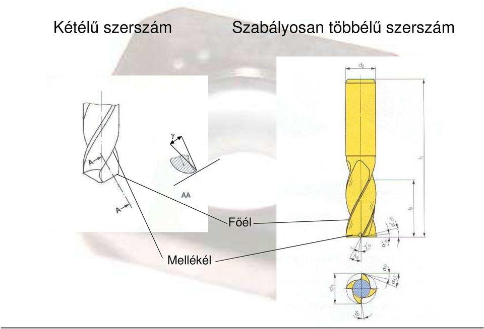 Szabályosan