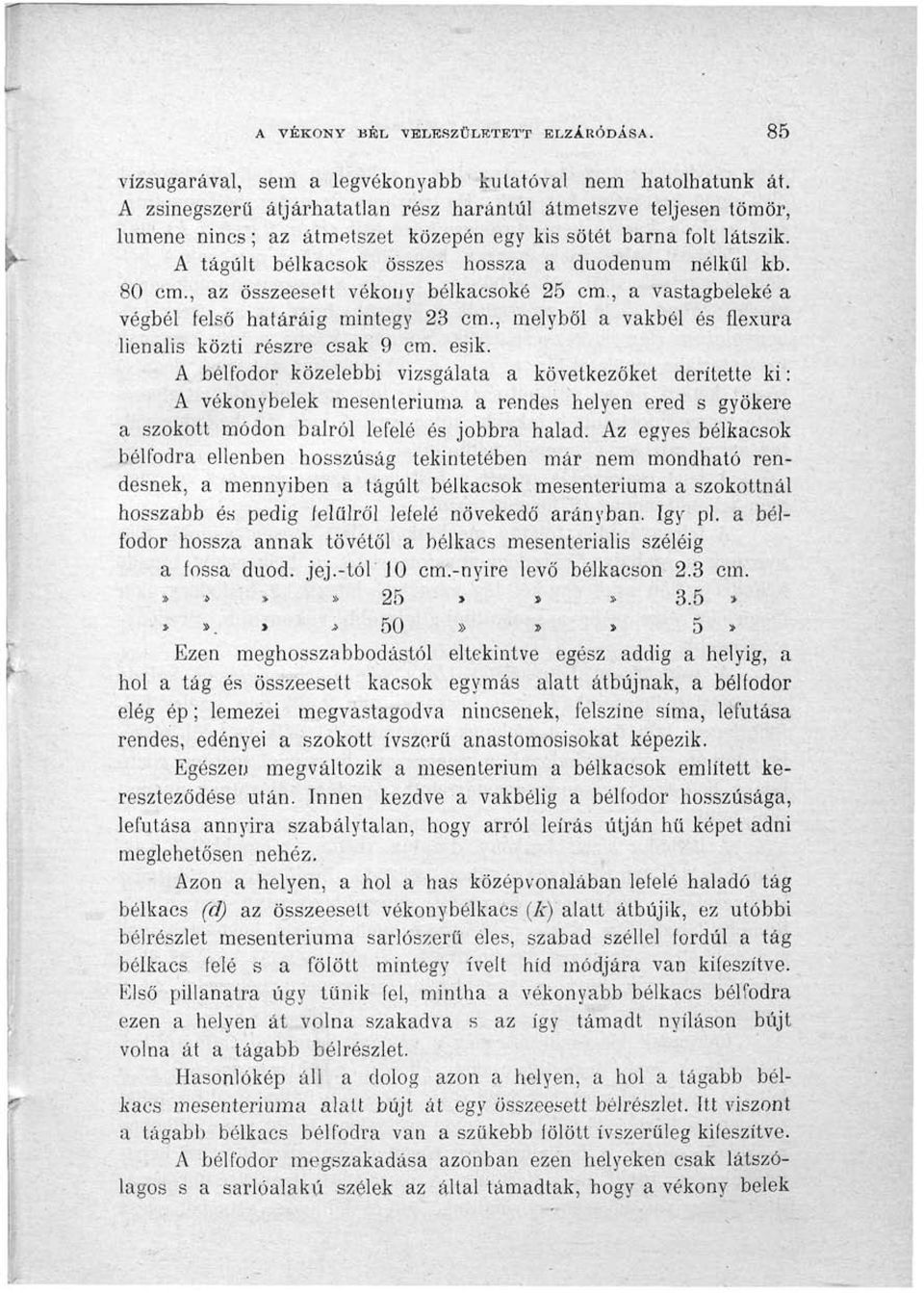 , az összeesett vékony bélkacsoké 25 cm., a vastagbeleké a végbél felső határáig mintegy 23 cm., melyből a vakbél és flexura lienalis közti részre csak 9 cm. esik.