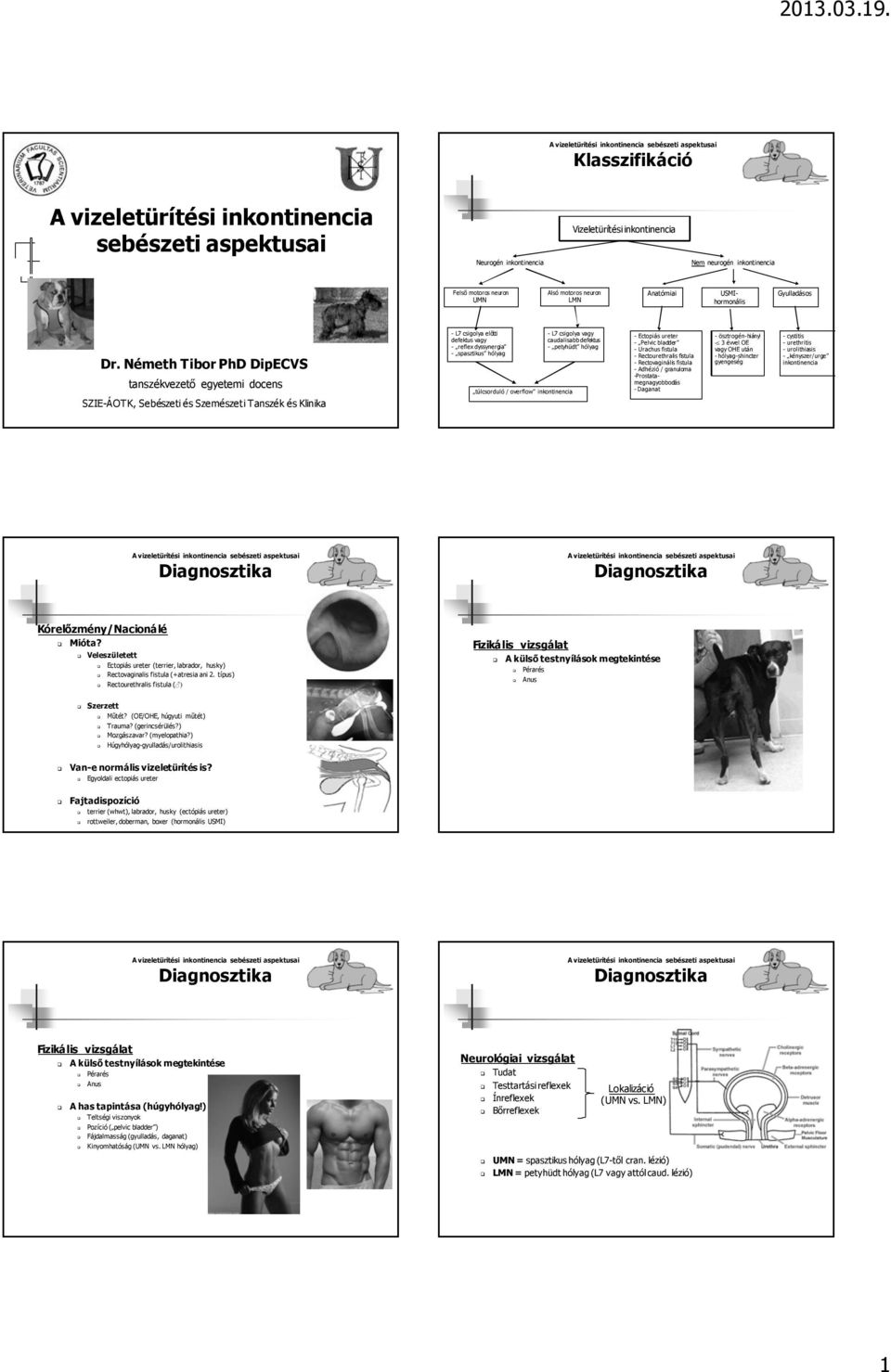 dyssynergia - petyhüdt hólyag - spasztikus hólyag túlcsorduló / overflow - Ectopiás ureter - Pelvic bladder - Urachus fistula - Rectourethralis fistula - Rectovaginális fistula - Adhézió / granuloma