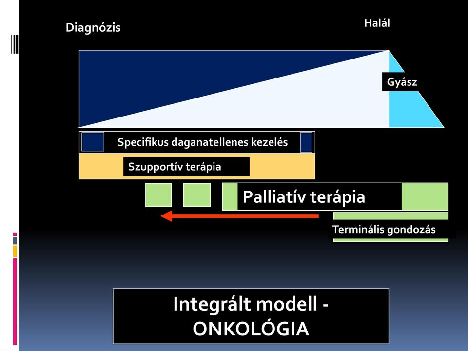 terápia Palliatív terápia