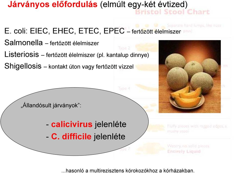 Listeriosis fertőzött élelmiszer (pl.