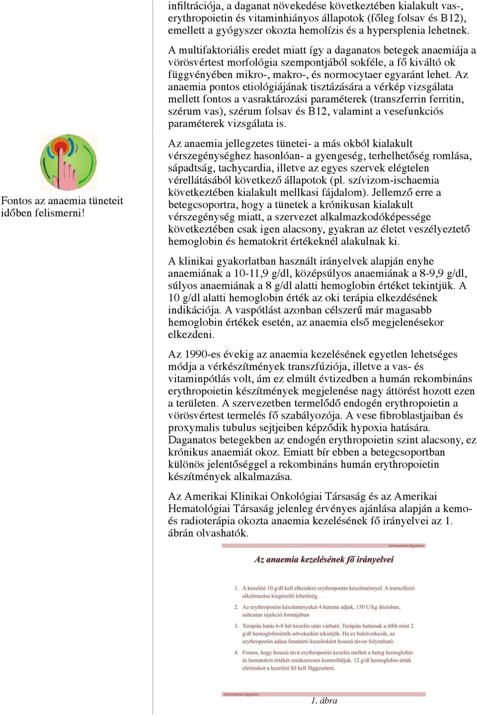 A multifaktoriális eredet miatt így a daganatos betegek anaemiája a vörösvértest morfológia szempontjából sokféle, a fő kiváltó ok függvényében mikro-, makro-, és normocytaer egyaránt lehet.