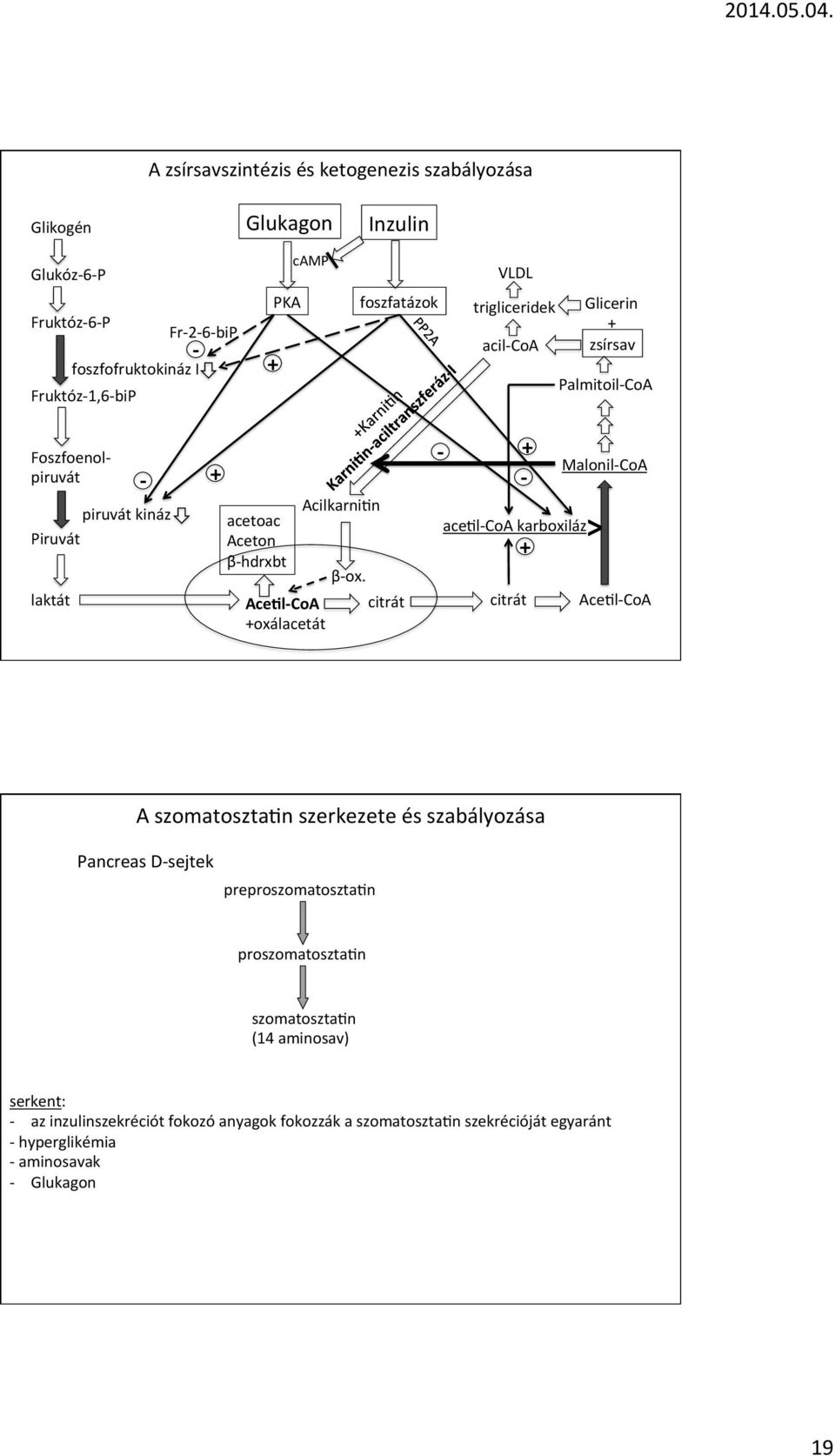 Acilkarnibn βox.