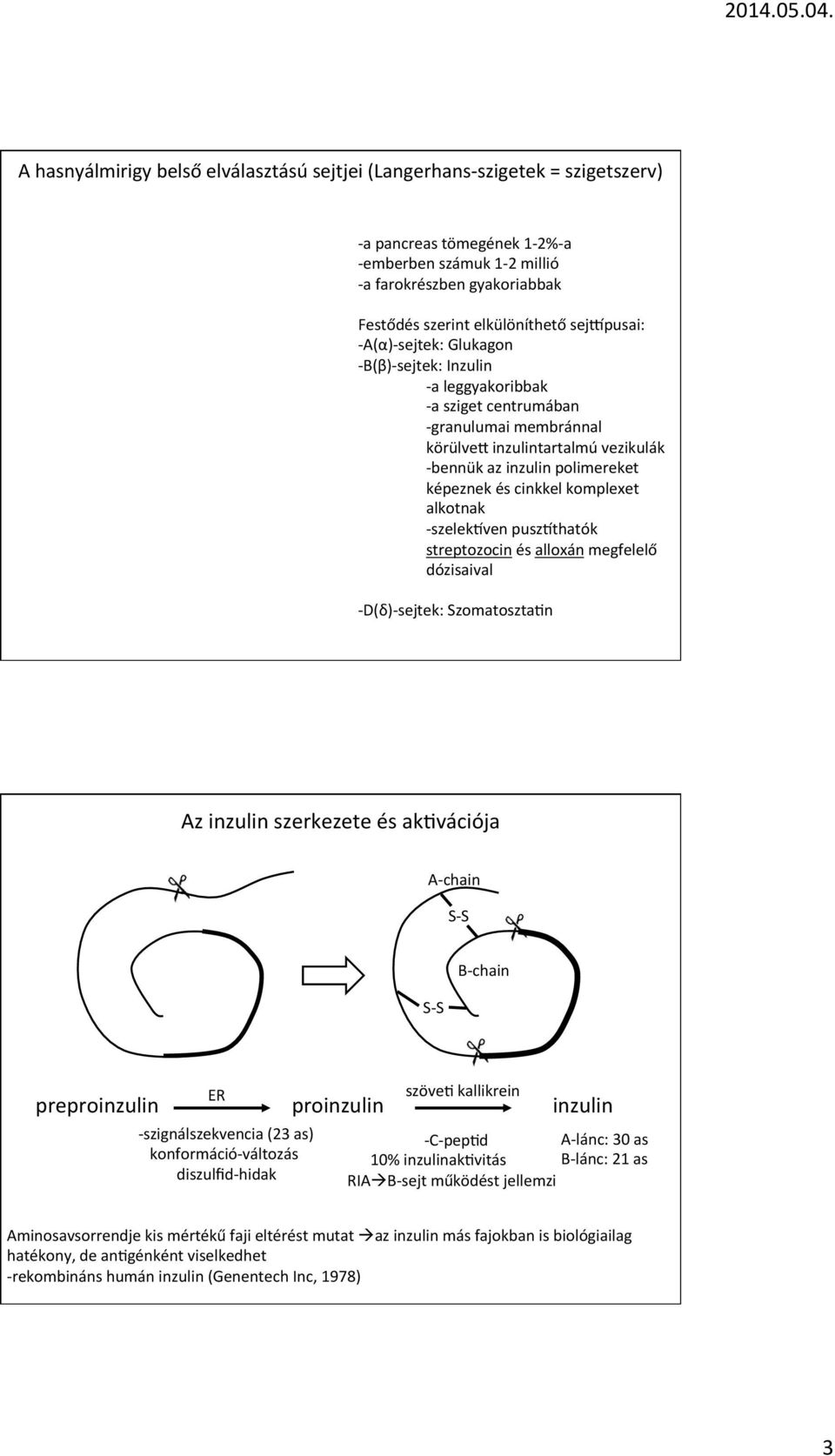 alkotnak szelek^ven pusz^thatók streptozocin és alloxán megfelelő dózisaival D(δ)sejtek: Szomatosztabn Az inzulin szerkezete és akbvációja Achain SS SS Bchain ER preproinzulin proinzulin inzulin