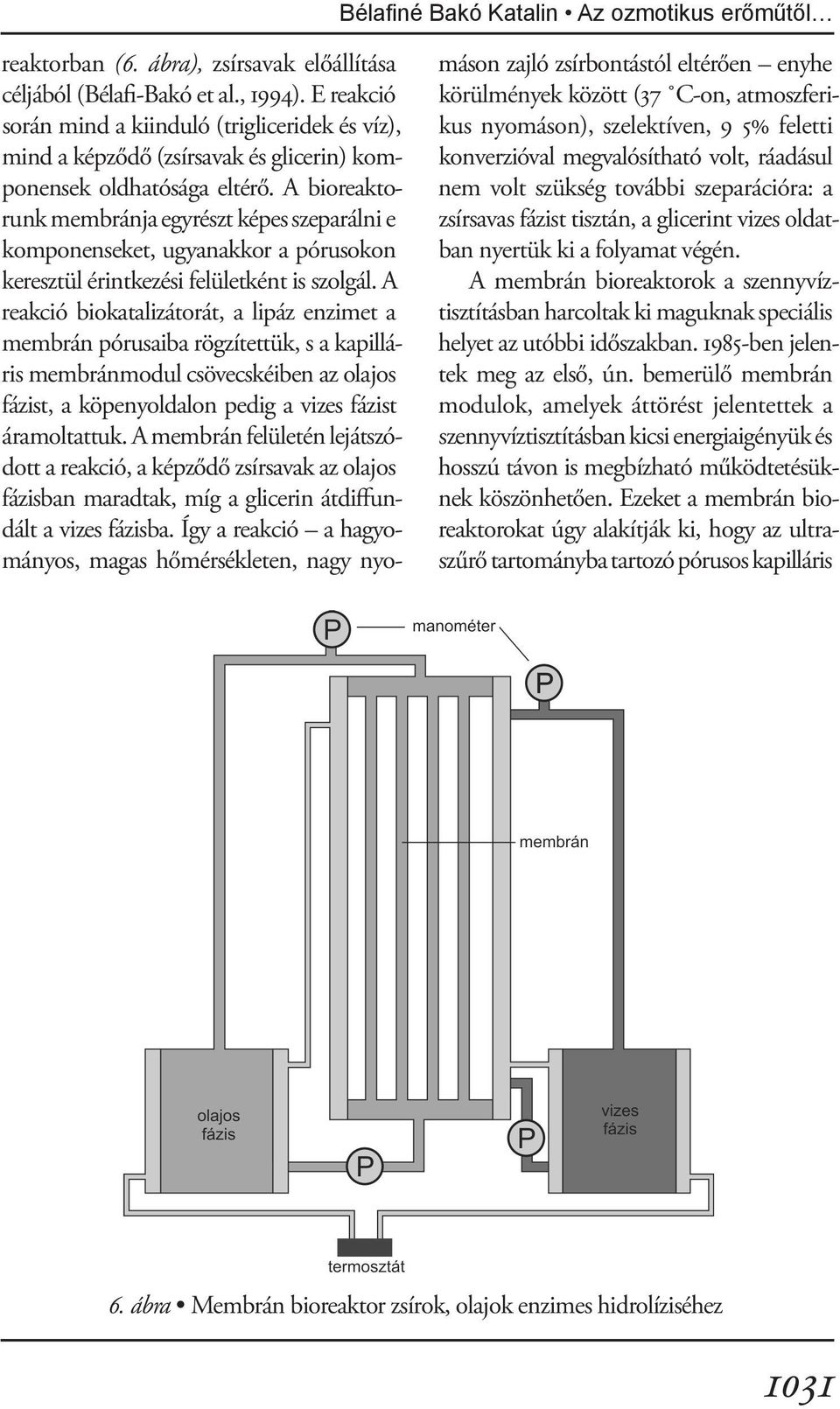 A bioreaktorunk membránja egyrészt képes szeparálni e komponenseket, ugyanakkor a pórusokon keresztül érintkezési felületként is szolgál.