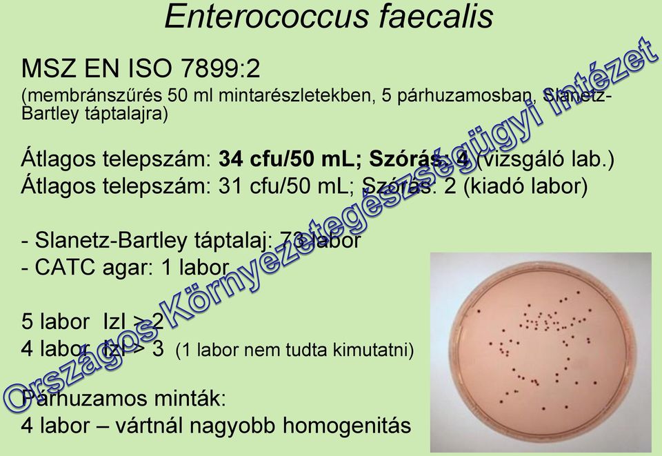 ) Átlagos telepszám: 31 cfu/50 ml; Szórás: 2 (kiadó labor) - Slanetz-Bartley táptalaj: 73 labor - CATC