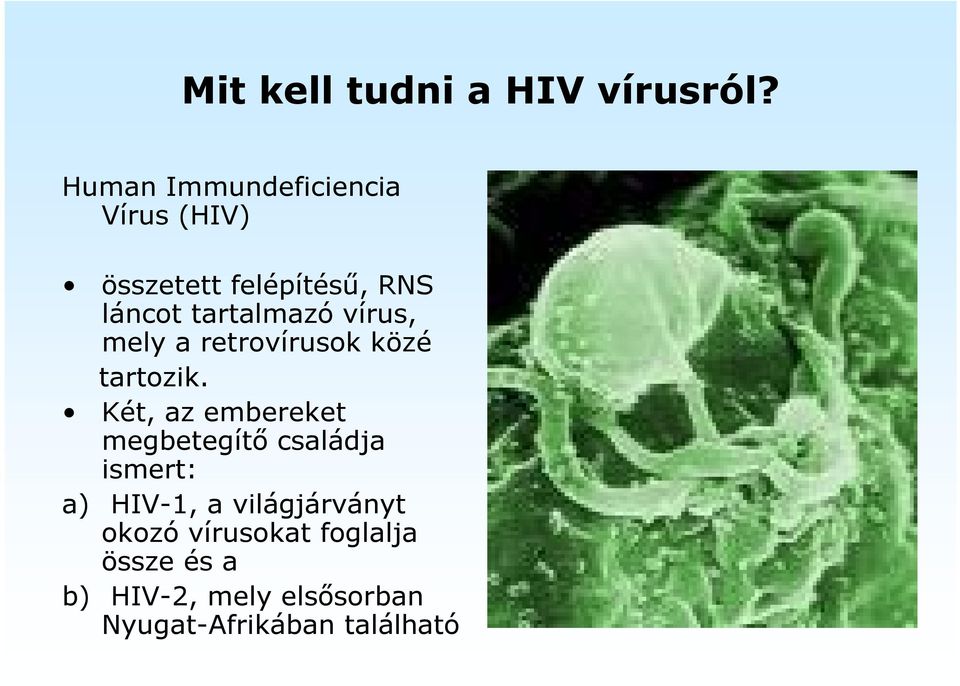 vírus, mely a retrovírusok közé tartozik.