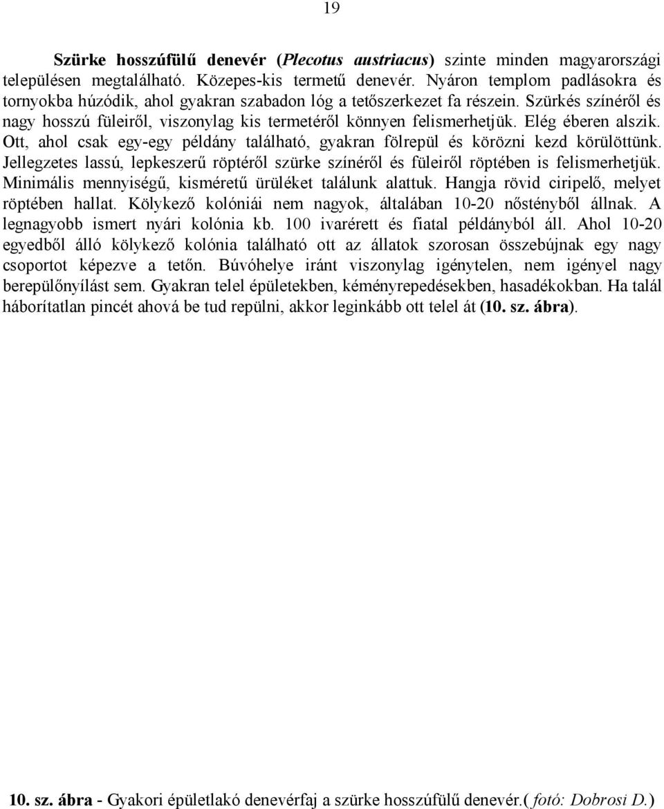 Elég éberen alszik. Ott, ahol csak egy-egy példány található, gyakran fölrepül és körözni kezd körülöttünk.