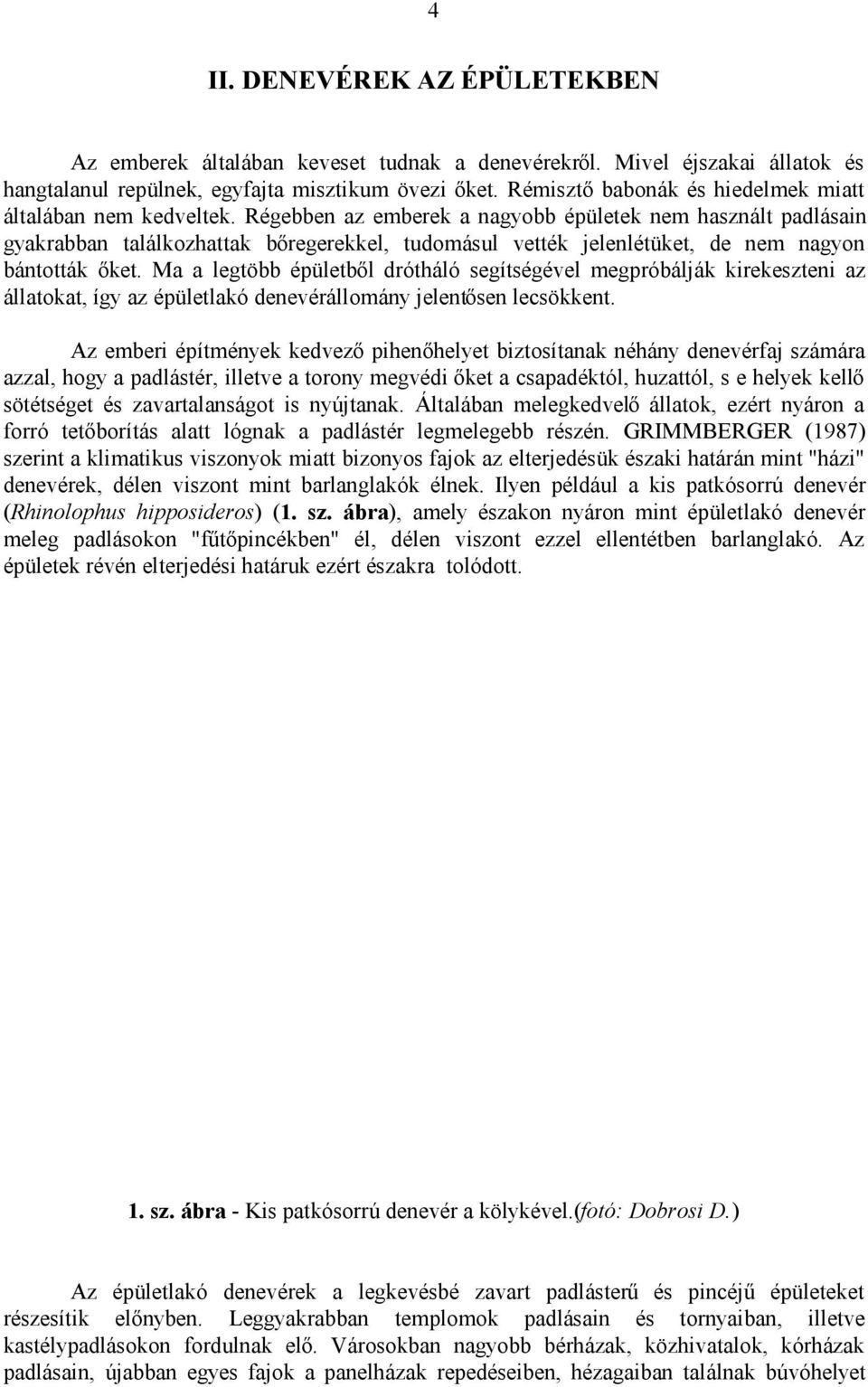 Régebben az emberek a nagyobb épületek nem használt padlásain gyakrabban találkozhattak bőregerekkel, tudomásul vették jelenlétüket, de nem nagyon bántották őket.