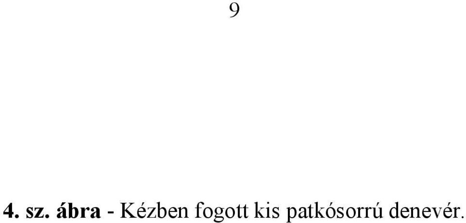 fogott kis