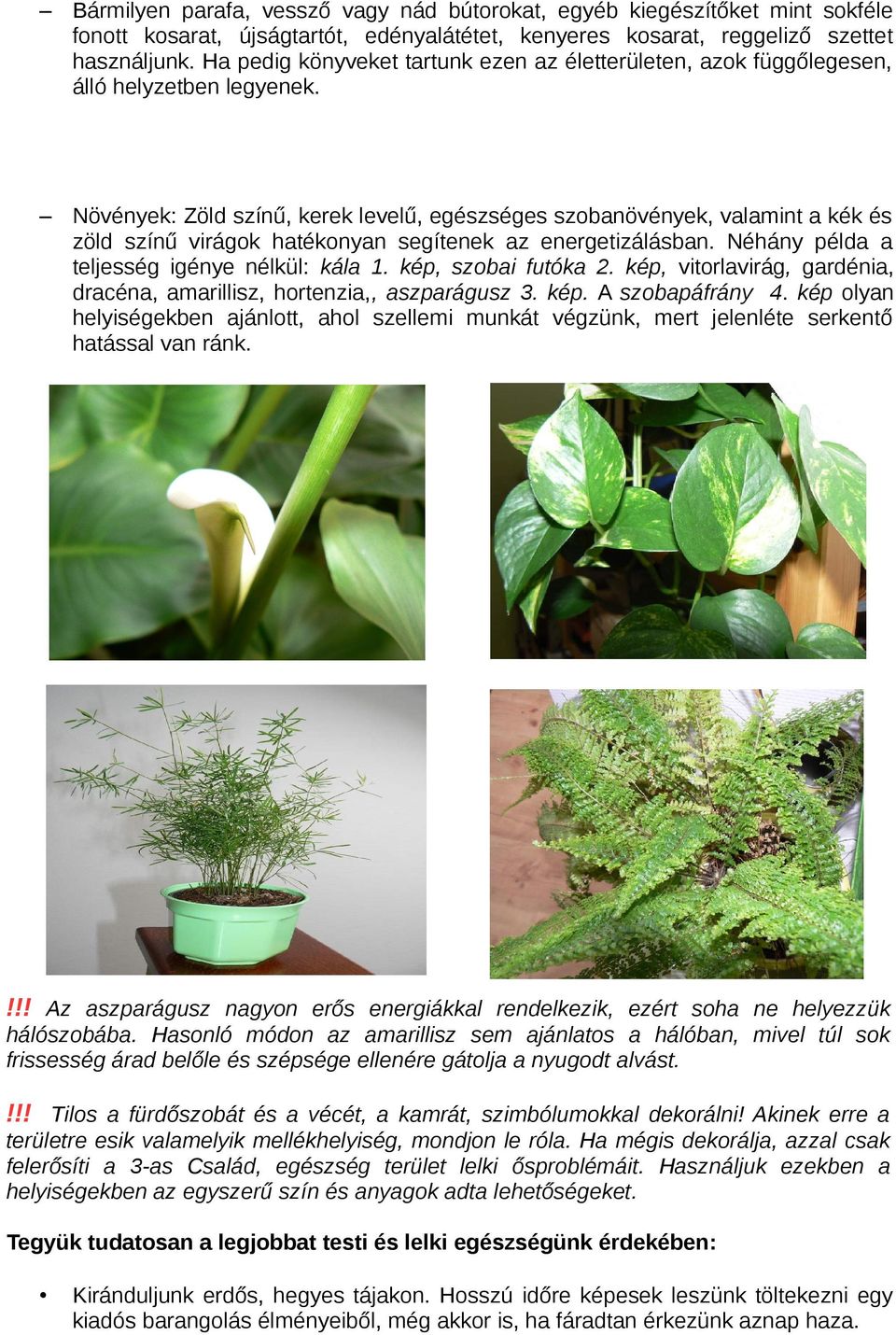 Növények: Zöld színű, kerek levelű, egészséges szobanövények, valamint a kék és zöld színű virágok hatékonyan segítenek az energetizálásban. Néhány példa a teljesség igénye nélkül: kála 1.