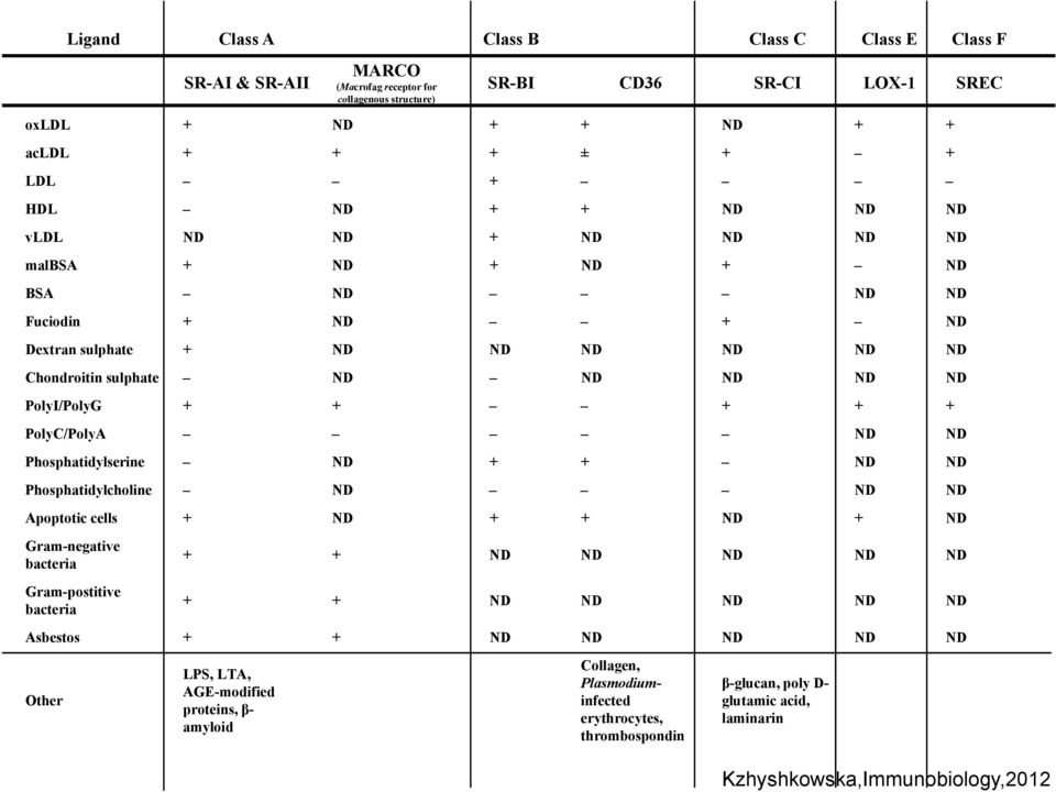 ND ND Phosphatidylserine ND + + ND ND Phosphatidylcholine ND ND ND Apoptotic cells + ND + + ND + ND Gram-negative bacteria Gram-postitive bacteria + + ND ND ND ND ND + + ND ND ND ND ND Asbestos + +