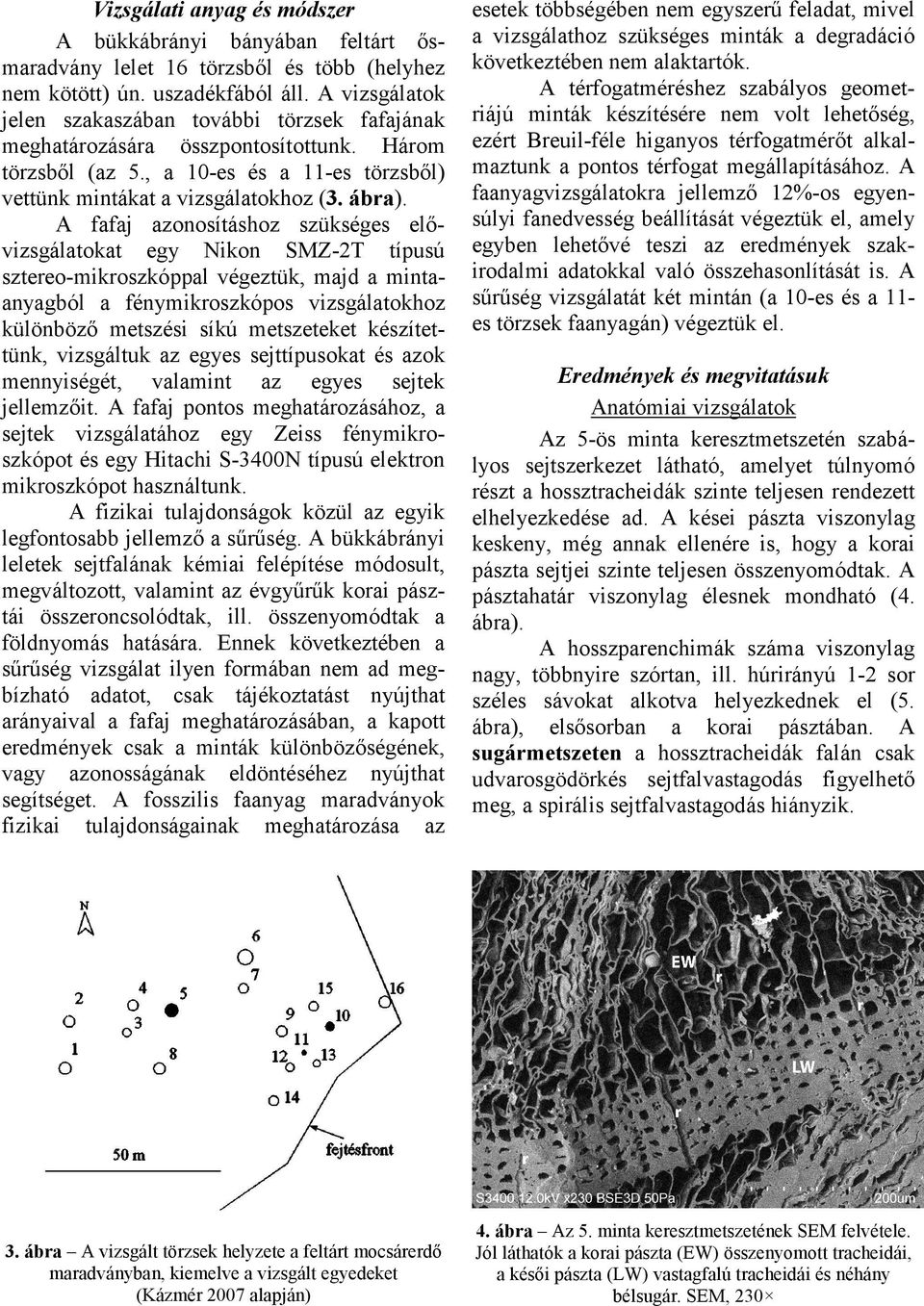 A fafaj azonosításhoz szükséges elővizsgálatokat egy Nikon SMZ-2T típusú sztereo-mikroszkóppal végeztük, majd a mintaanyagból a fénymikroszkópos vizsgálatokhoz különböző metszési síkú metszeteket