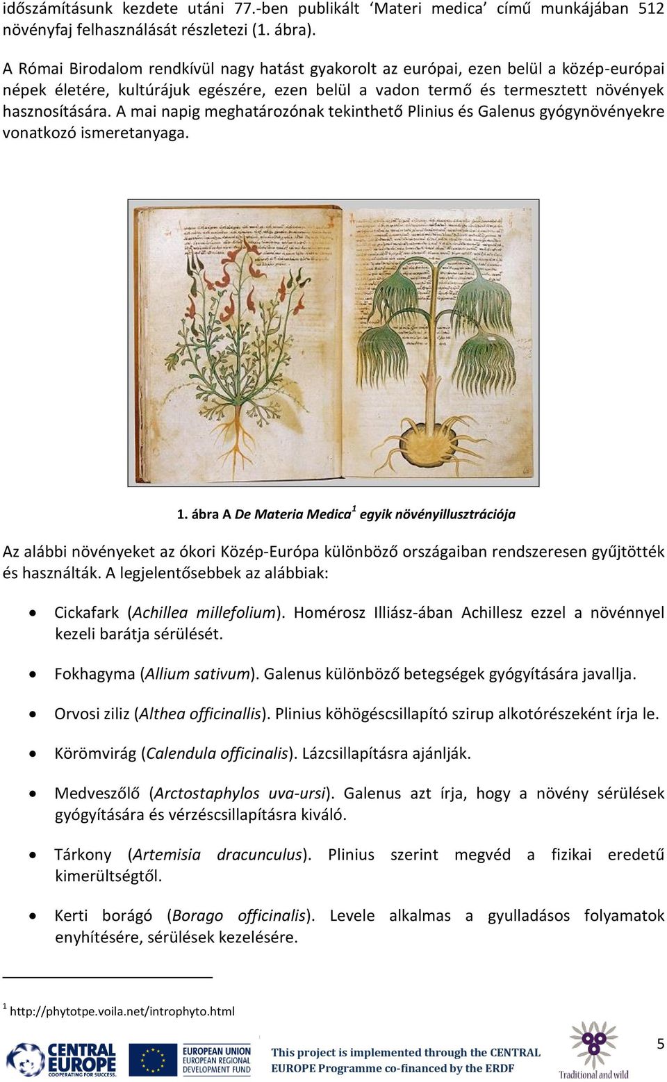 A mai napig meghatározónak tekinthető Plinius és Galenus gyógynövényekre vonatkozó ismeretanyaga. 1.