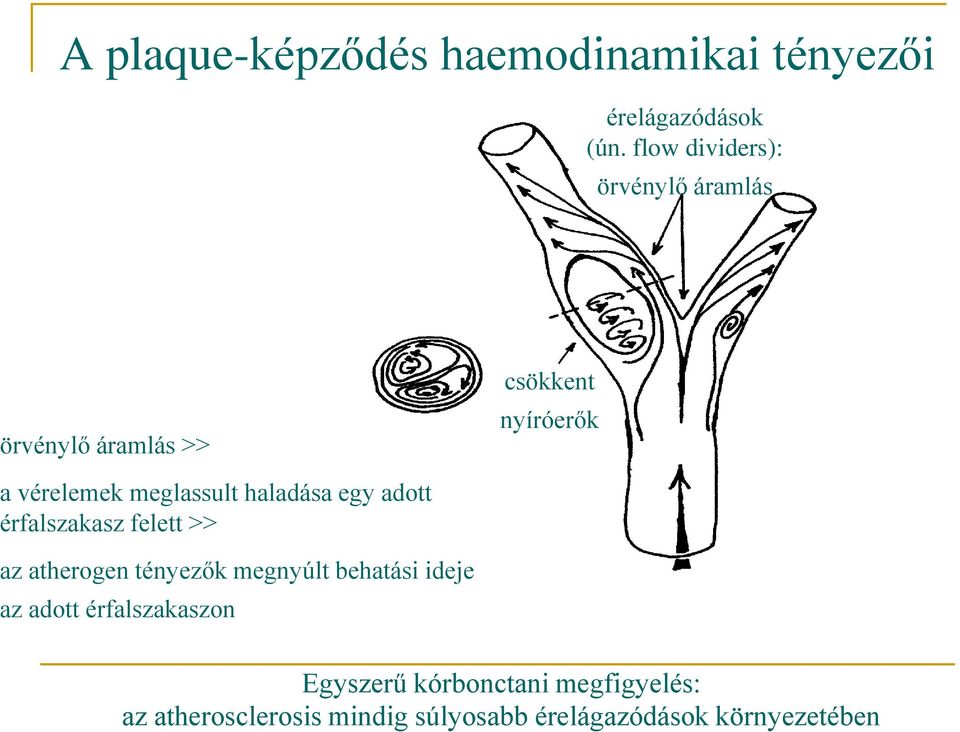 meglassult haladása egy adott érfalszakasz felett >> az atherogen tényezők megnyúlt