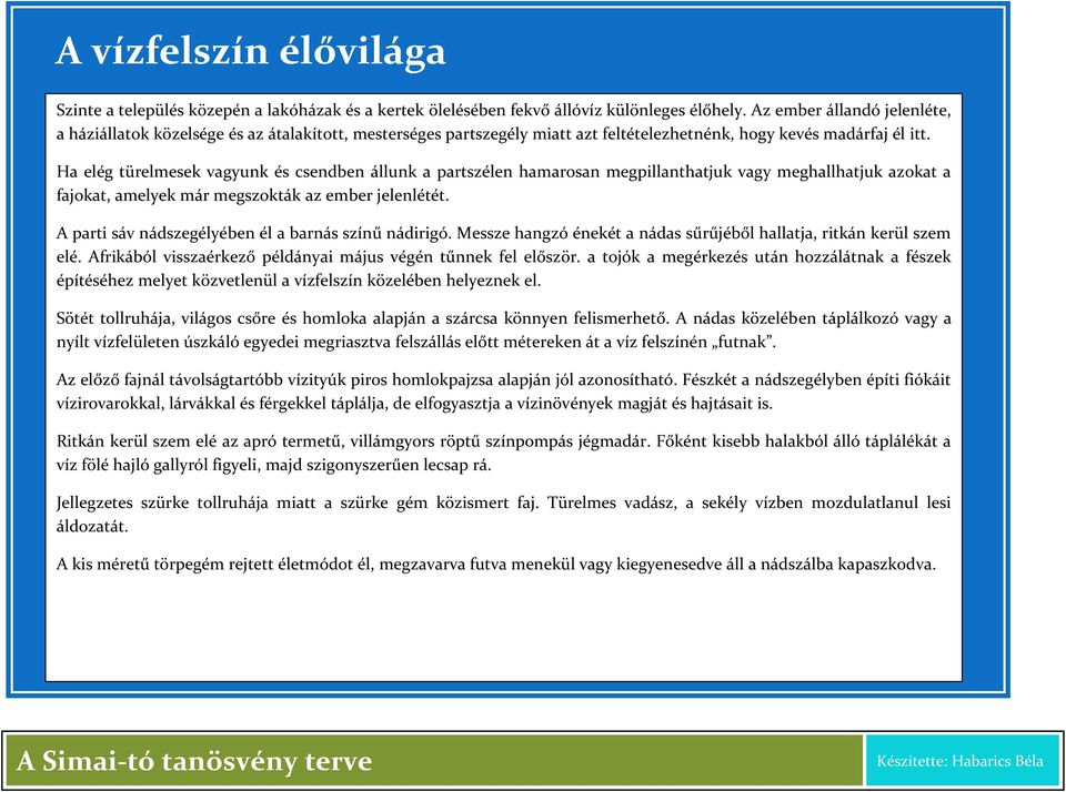 Ha elég türelmesek vagyunk és csendben állunk a partszélen hamarosan megpillanthatjuk vagy meghallhatjuk azokat a fajokat, amelyek már megszokták az ember jelenlétét.