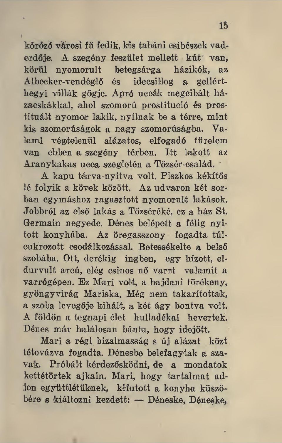 Valami vógitelenül alázatos, elfogadó türelem van ebben a szegény térben. Itt lakott az Aranykakas uoca szeg'letón a Tzsér-család. A kapu tárva-nyitva volt. Piszkos kékíts lé folyik a kövek között.