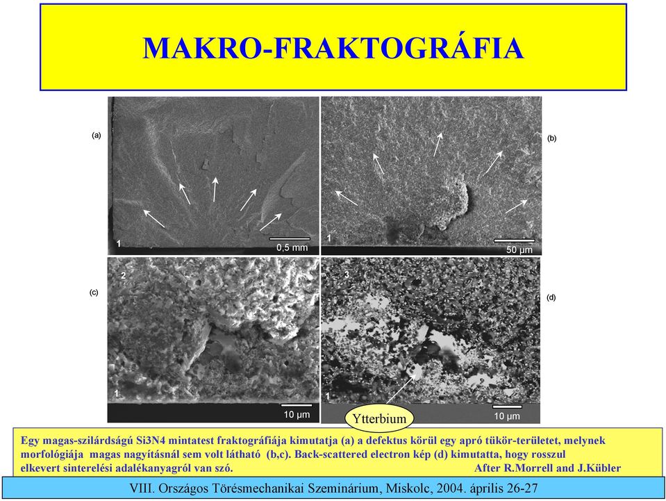 tükör-területet, melynek morfológiája magas nagyításnál sem volt látható (b,c).