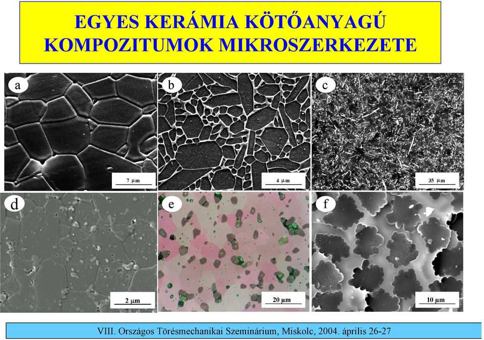 MIKROSZERKEZETE a b c 7 µm