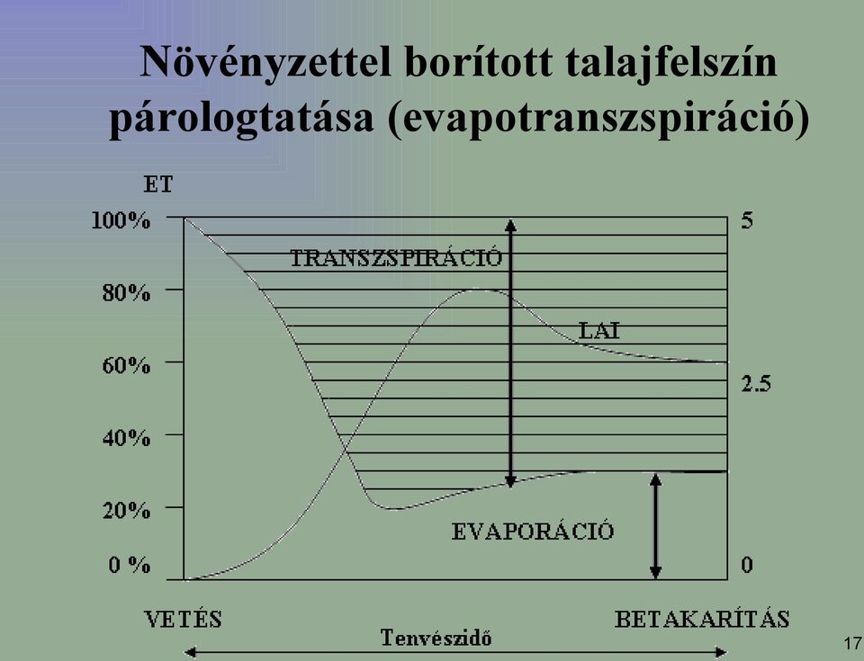 talajfelszín