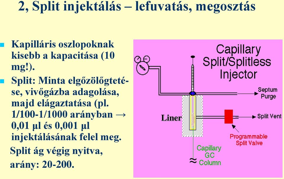 Split: Minta elgőzölőgtetése, vivőgázba adagolása, majd elágaztatása