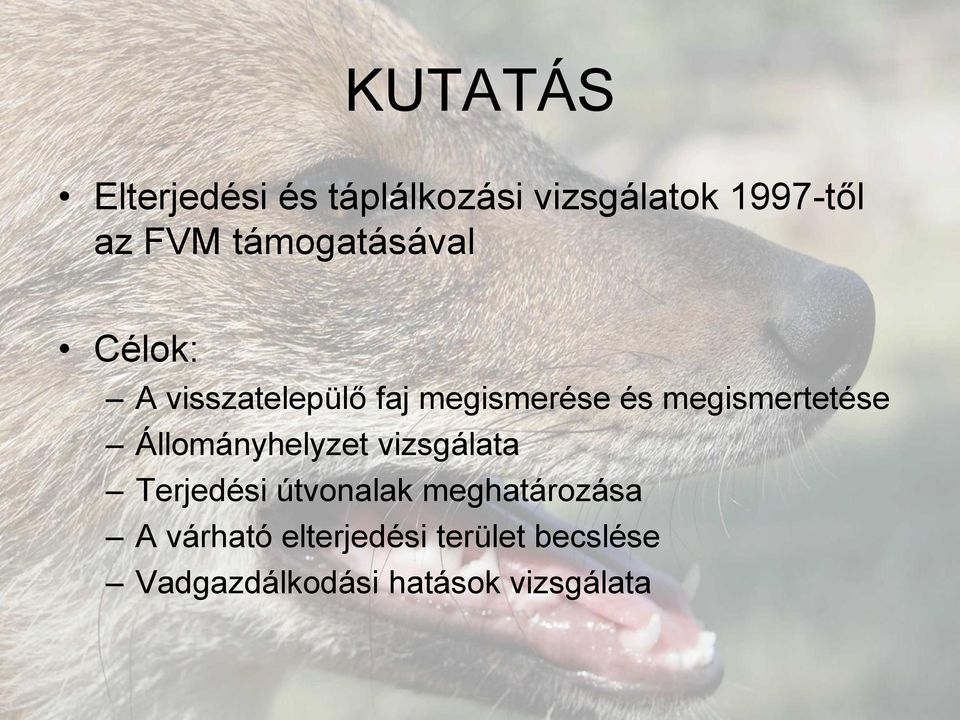 megismertetése Állományhelyzet vizsgálata Terjedési útvonalak