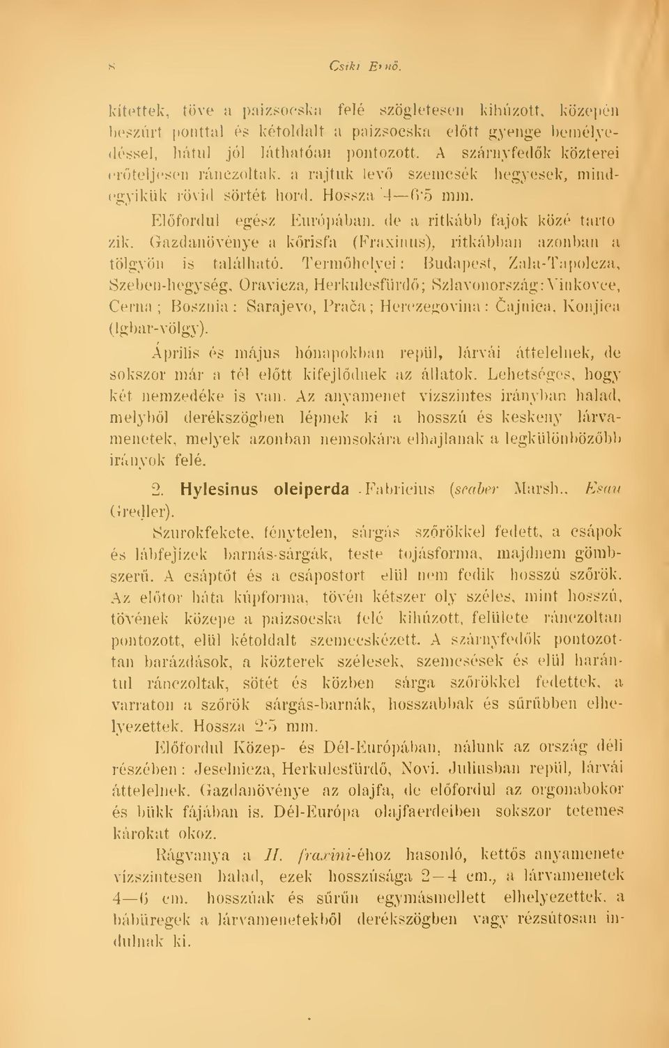 Gazdanövénye a krisfa (Fraxinus), ritkábban azonban a tölgyön is található.