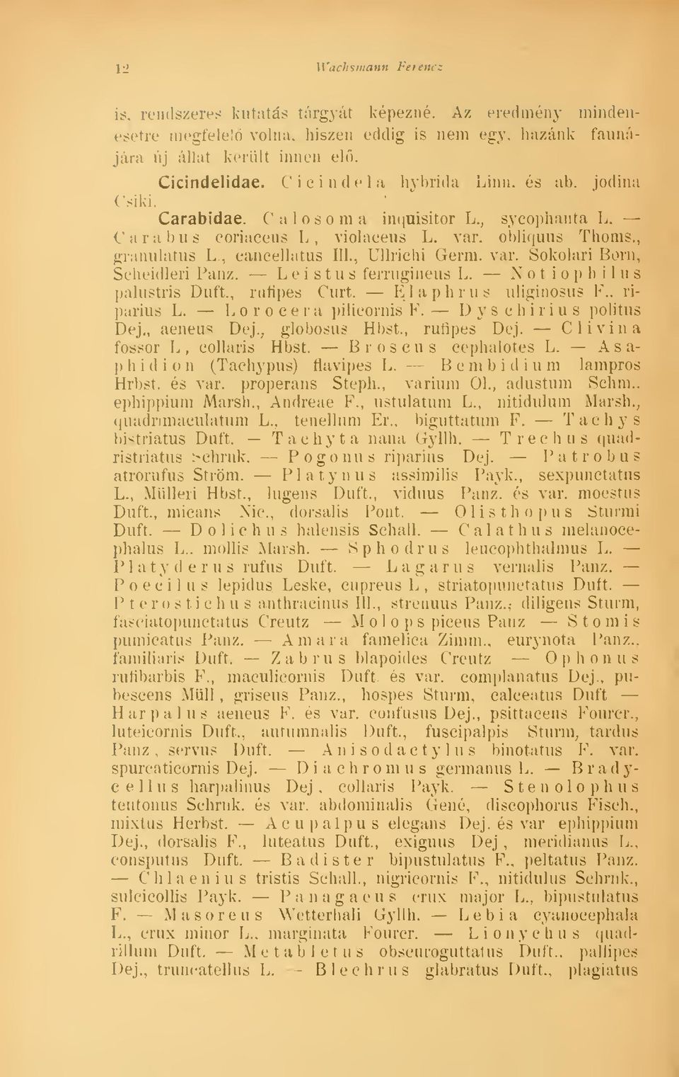 var. Sokolari Boni, - Scbeidleri Panz. L ei stus férrugineus L. N o t iop b ilus palustri8 Duf't.. rnfipes Curt. Elaphrus nliginosus F., riparius L. Loroeer a pilicornis F.