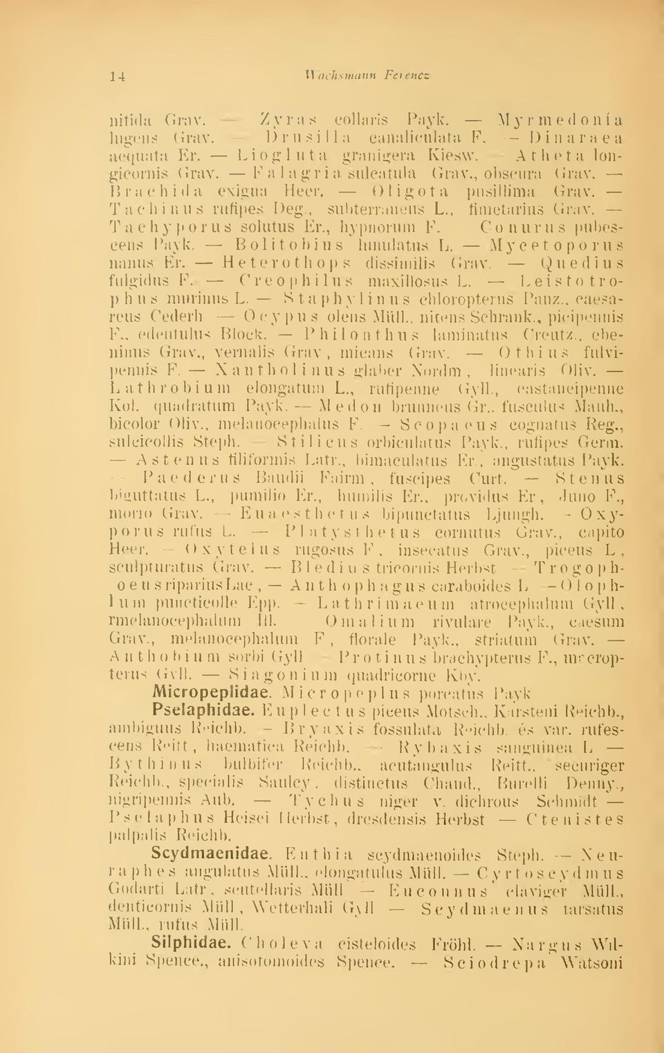 Conurus pubescena Payk. Bolitobius lunulatus L. Mycet oporus nanus Er. Heterothóp s dissimilis Grav. Quedius fulgidua F. Creophilua maxilloaua L.. Leiatotrophua murinus L.