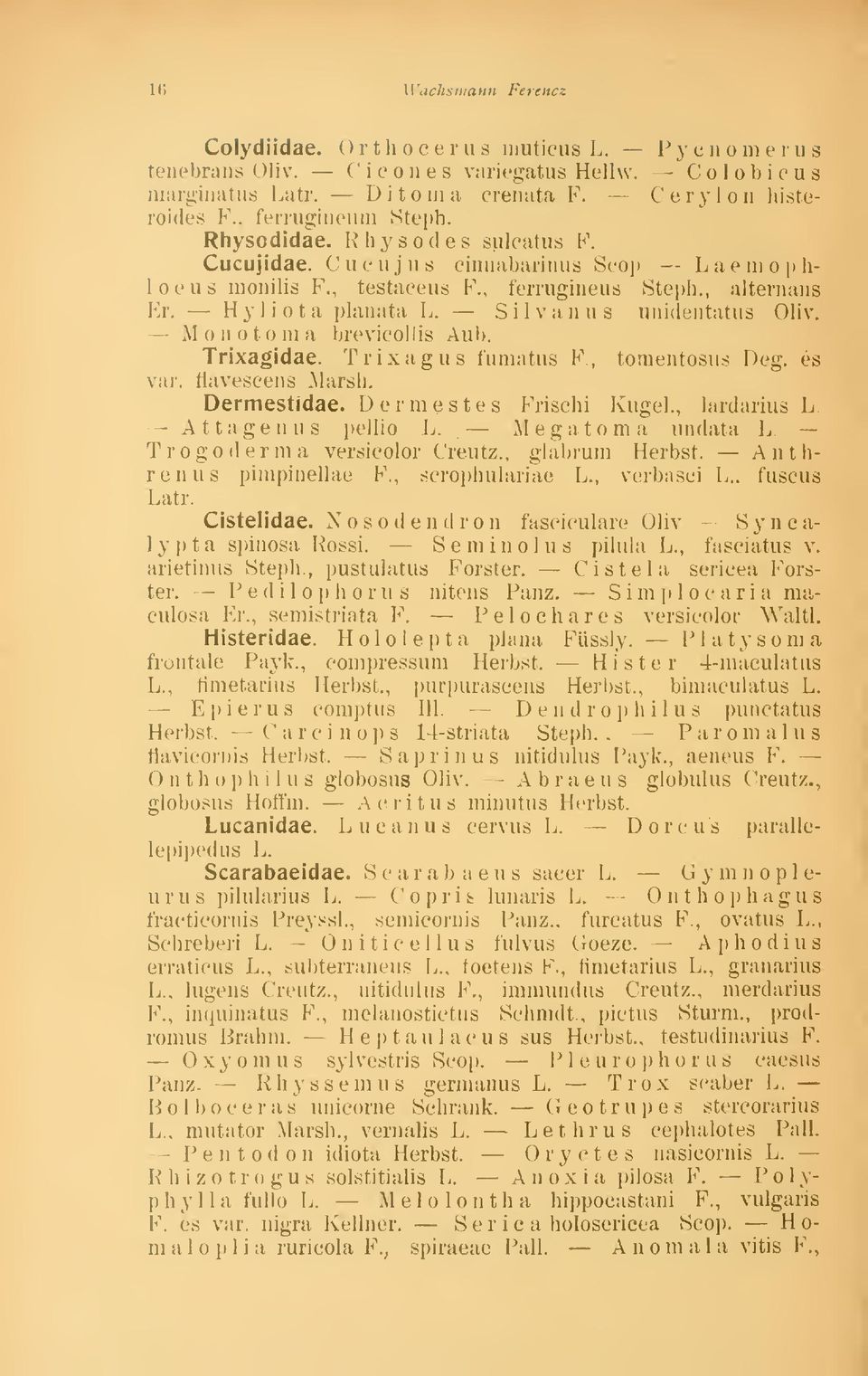 Monotoma brevicollia Aub. Trixagidae. Trixagua fumatu8 F, tomentoaus Deg. és var. flaveacena Marsh. Dermestidae. Derm estes Frischi Kugel., iardáriua L Attagenus pellio L. Megatoma undata L.