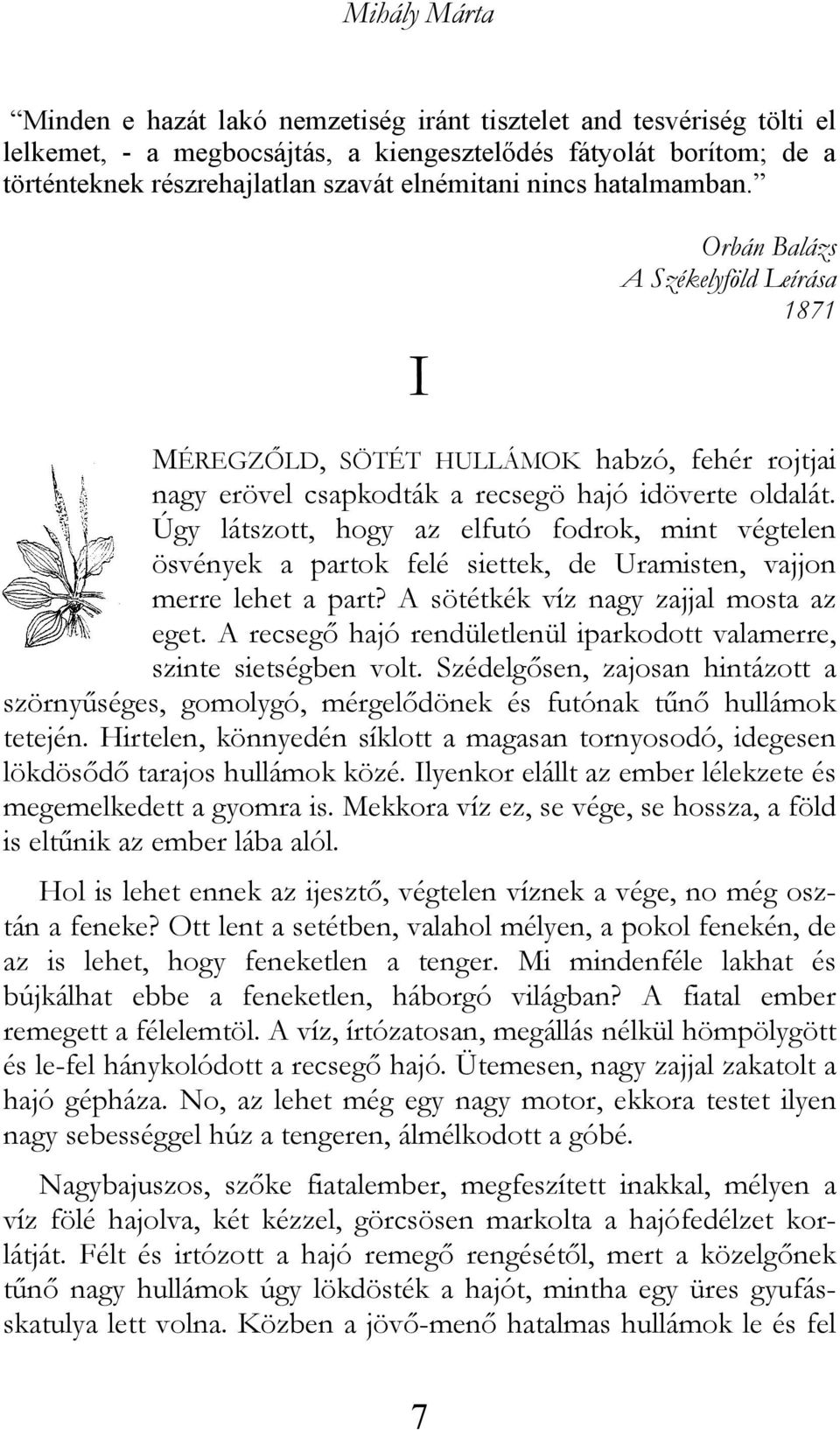 Úgy látszott, hogy az elfutó fodrok, mint végtelen ösvények a partok felé siettek, de Uramisten, vajjon merre lehet a part? A sötétkék víz nagy zajjal mosta az eget.